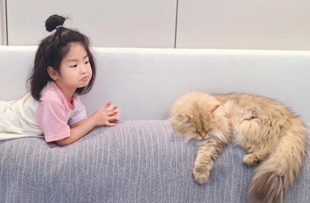 3 sai lầm khiến trẻ và mèo “không đội trời chung”: Cha mẹ nào cũng cần tránh!- Ảnh 3. 3 sai lầm khiến trẻ và mèo “không đội trời chung”: Cha mẹ nào cũng cần tránh!- Ảnh 3.