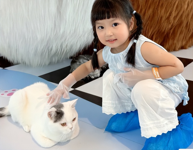 3 sai lầm khiến trẻ và mèo “không đội trời chung”: Cha mẹ nào cũng cần tránh!- Ảnh 1. 3 sai lầm khiến trẻ và mèo “không đội trời chung”: Cha mẹ nào cũng cần tránh!- Ảnh 1.