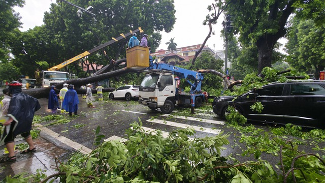 Chủ xe kể 30 giây kinh hoàng khi cây lớn bật gốc đè trúng ô tô giữa phố tại Hà Nội- Ảnh 1.