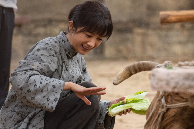 Dương Mịch lấy chồng nghèo lên top 1 rating cả nước: Được sống nghèo thế này thì mình "nhắm mắt yêu luôn"- Ảnh 2.