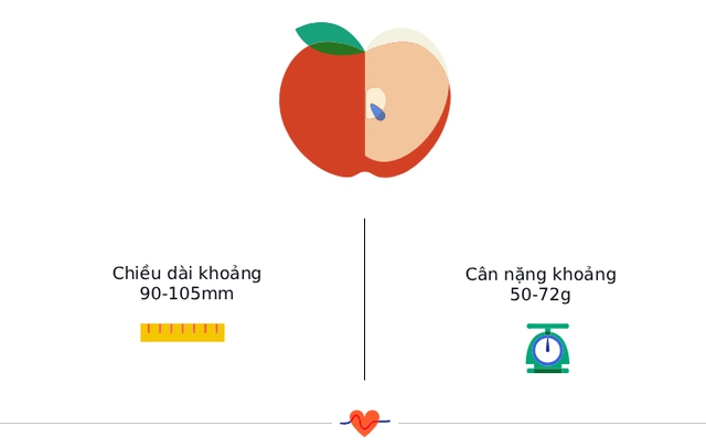 Tuần thai thứ 15: Bé mọc lông mi và ngày càng “nghịch ngợm” hơn trong bụng mẹ- Ảnh 3. Tuần thai thứ 15: Bé mọc lông mi và ngày càng “nghịch ngợm” hơn trong bụng mẹ- Ảnh 3.
