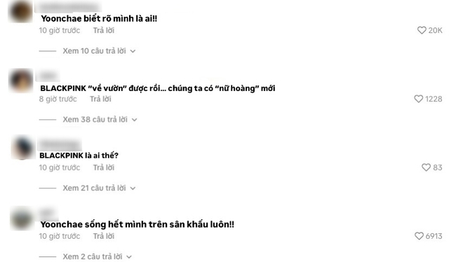 Xuất hiện nhóm nữ mới cực hay, BLACKPINK "về vườn" được rồi?- Ảnh 6.