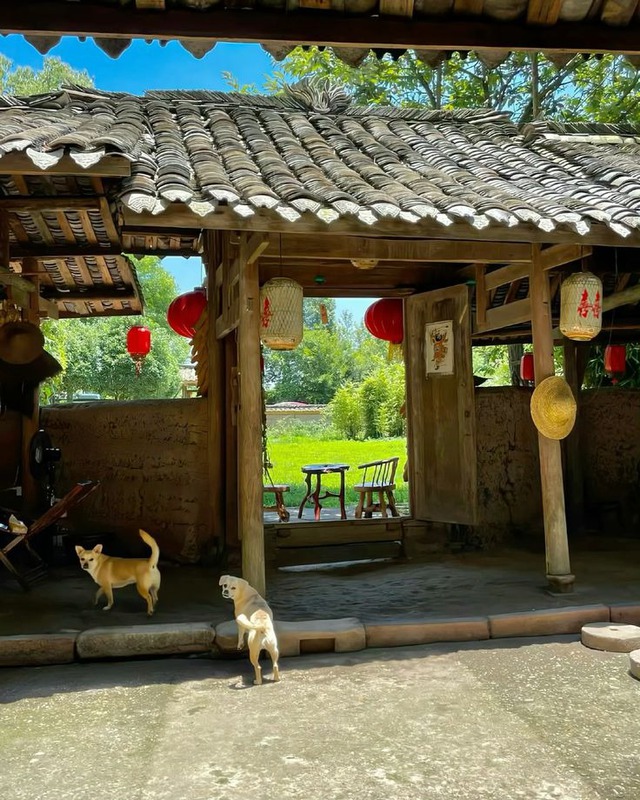 Làm sếp 10 năm, lương 50 triệu đồng/tháng: Bị khinh thường vì hỏi vay 1 tỷ mà cũng không có- Ảnh 1. Làm sếp 10 năm, lương 50 triệu đồng/tháng: Bị khinh thường vì hỏi vay 1 tỷ mà cũng không có- Ảnh 1.