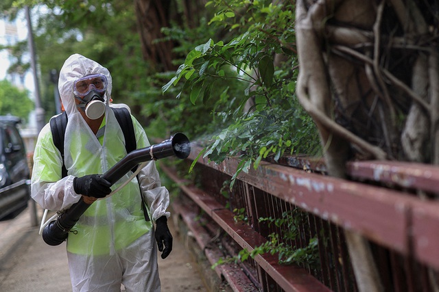 Virus Chikungunya "phá hủy nội tạng" bùng phát khiến WHO phát đi kêu gọi hành động khẩn cấp nguy hiểm thế nào?- Ảnh 3.
