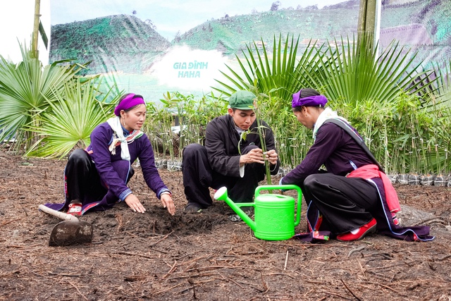 Jun Phạm về Bản Liền cùng bà con trồng loại cây đặc sản, chị Thông tiết lộ thời điểm có thể "order" ăn thử- Ảnh 3.