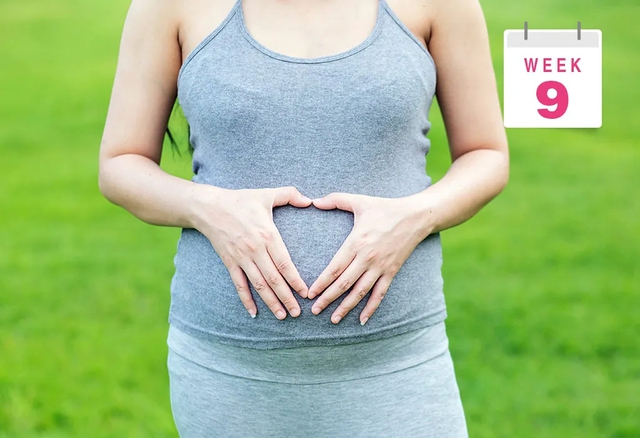Tuần thai thứ 9: Bé yêu chuyển sang giai đoạn thai nhi, nguy cơ sảy thai giảm đáng kể- Ảnh 6.