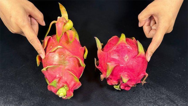 Mua thanh long thấy quả dài - quả ngắn, ruột trắng - ruột đỏ? Chủ vườn chỉ cách chọn "ngon quên lối về"!- Ảnh 1.