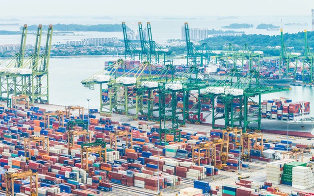 PTN Logistics – Giải pháp logistics trọn gói giúp doanh nghiệp Việt vươn tầm quốc tế- Ảnh 1.