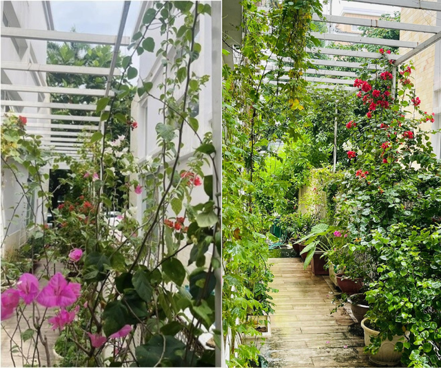 Nữ diễn viên Mưa Đỏ: Trong phim đau khổ khóc cạn nước mắt, ngoài đời sống chill với cơ ngơi 4 tầng phủ kín hoa!- Ảnh 10.