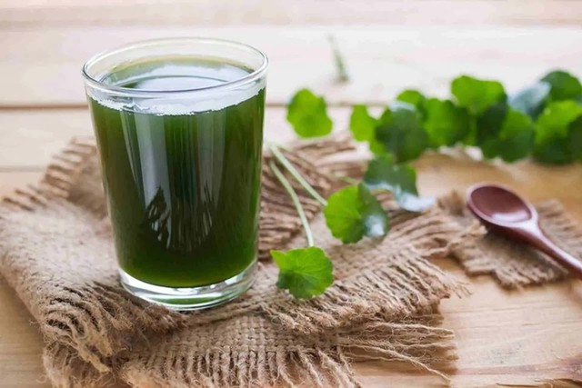 Phụ nữ uống nước rau má vào Phụ nữ uống nước rau má vào