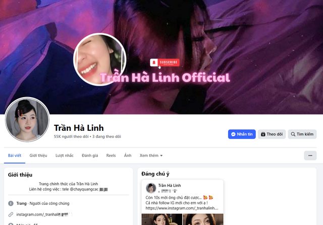 Dựng chuyện thu lợi, cú lừa tinh vi mang tên Trần Hà Linh "fake"- Ảnh 1. Dựng chuyện thu lợi, cú lừa tinh vi mang tên Trần Hà Linh "fake"- Ảnh 1.