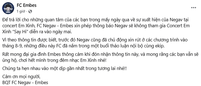 Negav “bốc hơi” khỏi concert Em Xinh Say Hi- Ảnh 3.