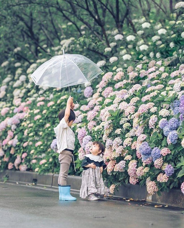 Những cái QUÁ của bố mẹ sẽ âm thầm hủy hoại con- Ảnh 3.