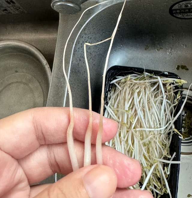 4 loại rau củ dễ bị "phù phép" bằng hóa chất, càng đẹp càng độc hại- Ảnh 2.