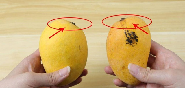 Mua xoài, liếc mắt với 5 mẹo này là biết ngay quả ngon hay quả ủng- Ảnh 1.