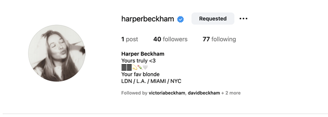 Tài khoản MXH đầu tiên của tiểu thư Harper Beckham có gì?- Ảnh 2.