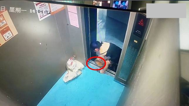 Clip 15 giây: Tưởng không ai nhìn thấy, người phụ nữ làm chuyện đáng xấu hổ trong thang máy- Ảnh 2.