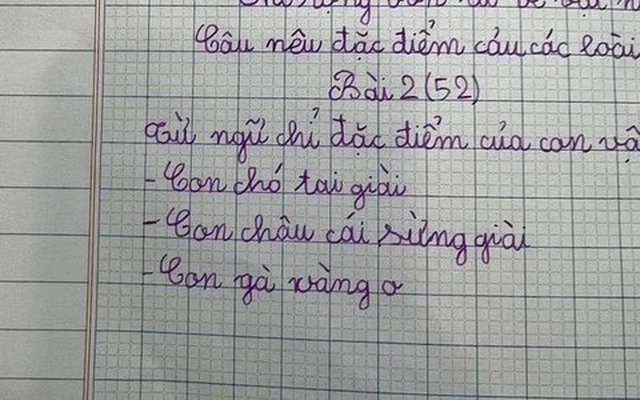 Học sinh tiểu học tả con gà, sáng tạo ra 1 từ khiến nhiều người tra từ điển muốn ngất vẫn không ra đáp án- Ảnh 1.