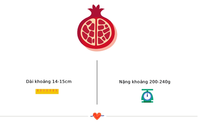 Tuần thai thứ 19: Toàn thân bé được bọc trong lớp sáp bảo vệ, mẹ đề phòng nguy cơ bị giãn tĩnh mạch- Ảnh 3.