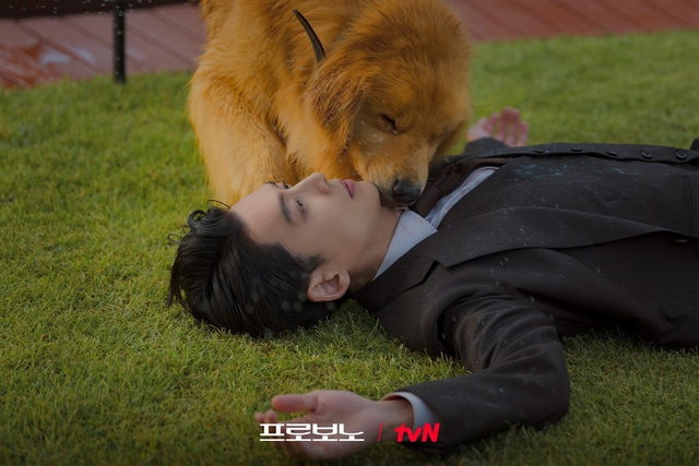 Sợ đầu voi đuôi chuột thì quất ngay phim Hàn này: Kịch bản cua khét lẹt quá đã, nam chính chưa từng gây thất vọng- Ảnh 1. Sợ đầu voi đuôi chuột thì quất ngay phim Hàn này: Kịch bản cua khét lẹt quá đã, nam chính chưa từng gây thất vọng- Ảnh 1.