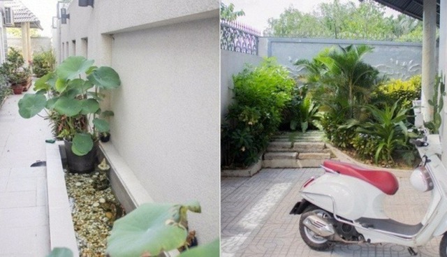 NSƯT Việt 3 đời vợ, có 1000 cây vàng, ở biệt thự 300m²- Ảnh 5. NSƯT Việt 3 đời vợ, có 1000 cây vàng, ở biệt thự 300m²- Ảnh 5.