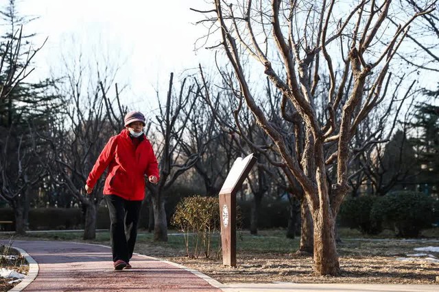 "Này, còn sống không?": Ứng dụng hỏi thăm mỗi ngày và nỗi lòng của những người trẻ chọn lối sống "độc thân toàn thời gian"- Ảnh 1.