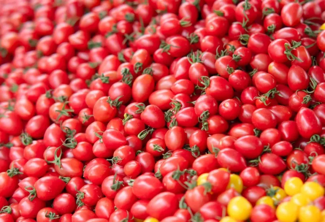 Loại quả là "thần dược giảm cân", ít calo, giàu chất xơ lại vô cùng ngon miệng, ăn bao nhiêu cũng không sợ béo- Ảnh 1.