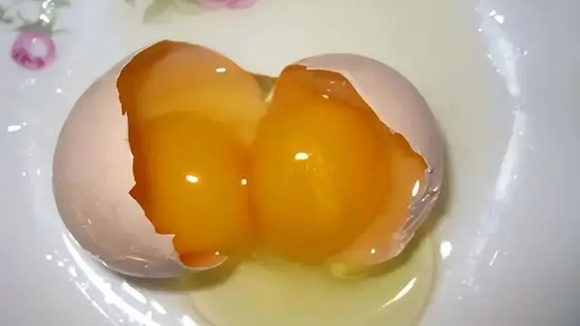 Trứng hai lòng đỏ hay trứng một lòng đỏ: Loại nào bổ hơn?- Ảnh 1.