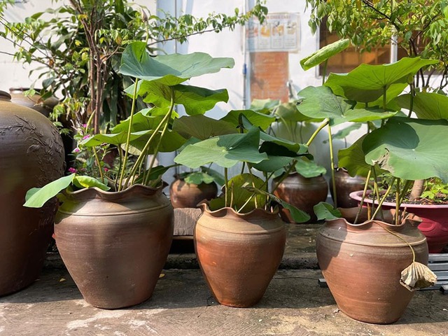 "Đặc sản" trong nhà người miền Tây, cả nước muốn biết đáp án- Ảnh 5.