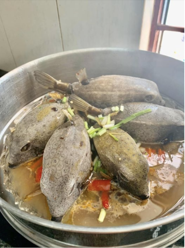 "Quái ngư" có hình hài đáng sợ ở vùng biển miền Trung, nhìn ghê nhưng được săn lùng dù giá tiền triệu- Ảnh 2.