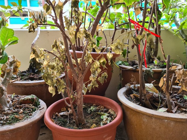 Năm 2026 rồi, 6 món đồ này cũng nên bỏ đi thôi- Ảnh 2. Năm 2026 rồi, 6 món đồ này cũng nên bỏ đi thôi- Ảnh 2.