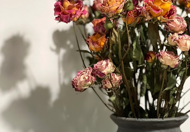 5 thứ "rác nhà" nên sớm được vứt bỏ, càng để lâu càng mệt người- Ảnh 1.