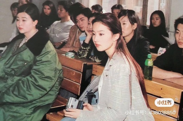 Không ai tin đây là Lưu Diệc Phi - Ảnh 3.