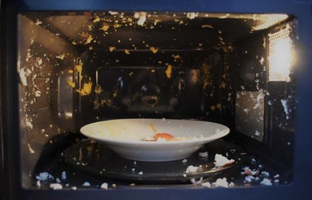 5 thứ cho vào lò vi sóng là SAI LẦM, có ngày rước họa vào thân- Ảnh 1.