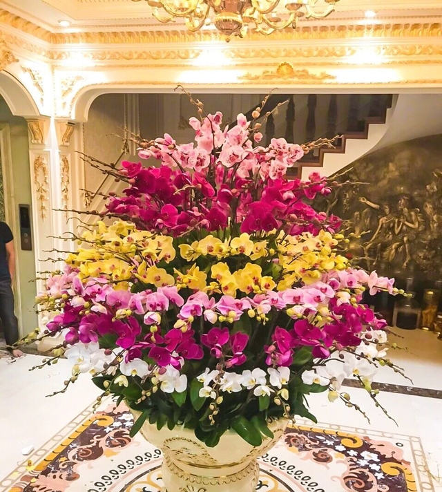 Lưỡi hổ hay kim tiền cũng không bằng 3 cây này: “Của để dành” trong nhà, càng trồng càng có lộc- Ảnh 2.