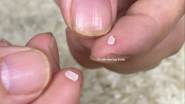 Ăn cơm suốt 30 năm, tôi biết 4 mẹo phân biệt gạo cũ - gạo mới: Gian thương không còn cửa lừa- Ảnh 2.