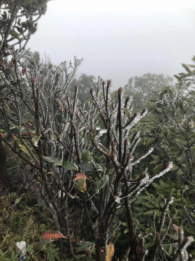 Nơi lạnh nhất Việt Nam lúc này- Ảnh 3.