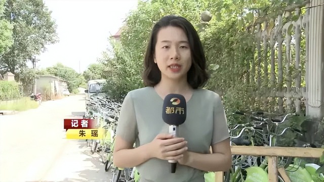 BTV kỳ cựu rời đài truyền hình vì áp lực: Dốc sạch tiền mua nhà "chữa lành", sống 1 mình hạnh phúc- Ảnh 1.