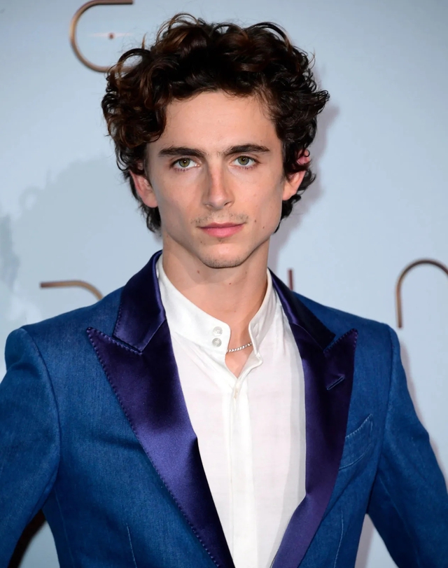 Timothée Chalamet làm được điều 8 tỷ người không ai làm nổi: Trời thương muốn làm người thường cũng khó- Ảnh 1.