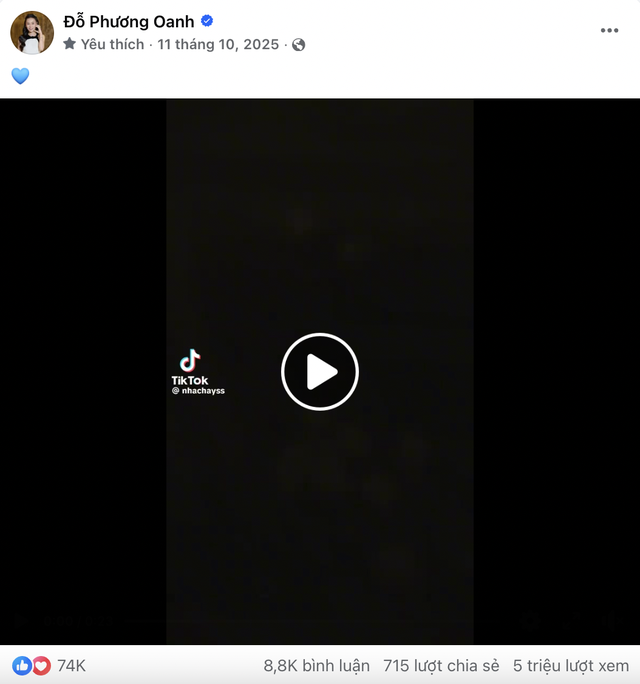 Tình trạng hiện tại trong biệt thự của Phương Oanh- Ảnh 9.