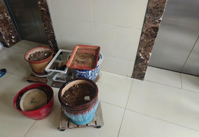 Trong nhà có 10 thứ "nặng vía", không tiễn đi trước Tết thì lận đận cả năm- Ảnh 3.