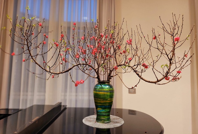 5 loại hoa chơi Tết “không có đỉnh nhất chỉ có đỉnh hơn”: Chưng xong chỉ ngẩn ngơ ngắm, đẹp đến nỗi cạn từ khen- Ảnh 1.