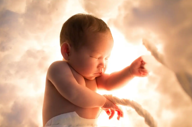 8 điều thú vị trong thai kỳ: Em bé thật sự bảo vệ được mẹ mình!- Ảnh 3. 8 điều thú vị trong thai kỳ: Em bé thật sự bảo vệ được mẹ mình!- Ảnh 3.