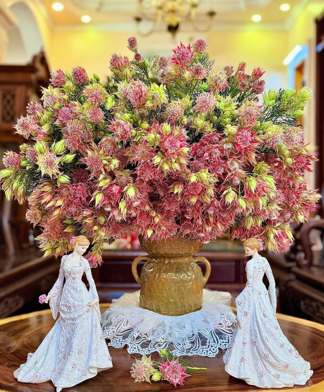 Loài hoa tên nghe bẽn lẽn như gái đôi mươi, nở rộ thành tuyệt phẩm, bền đẹp suốt cả tháng- Ảnh 4.