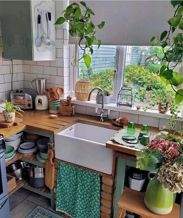 3 vị trí trong nhà thà để trống còn hơn trồng cây: Cây dễ chết, người uể oải- Ảnh 2. 3 vị trí trong nhà thà để trống còn hơn trồng cây: Cây dễ chết, người uể oải- Ảnh 2.