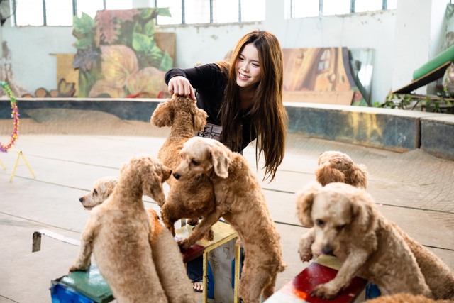 Đi thăm trâu, khỉ, ngựa... giữa trung tâm Thủ đô và nghe những chuyện thấy "bận lòng"- Ảnh 16.