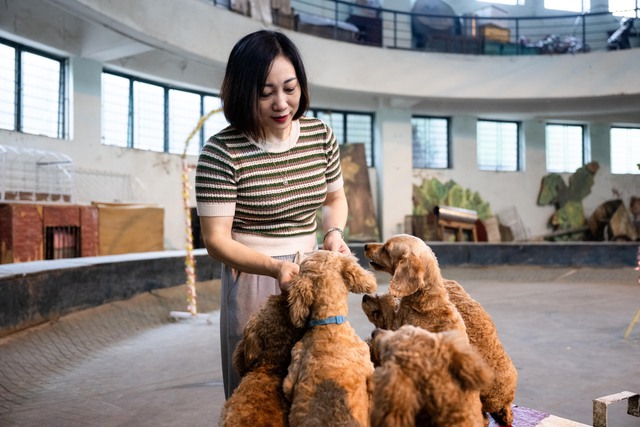 Đi thăm trâu, khỉ, ngựa... giữa trung tâm Thủ đô và nghe những chuyện thấy "bận lòng"- Ảnh 6.