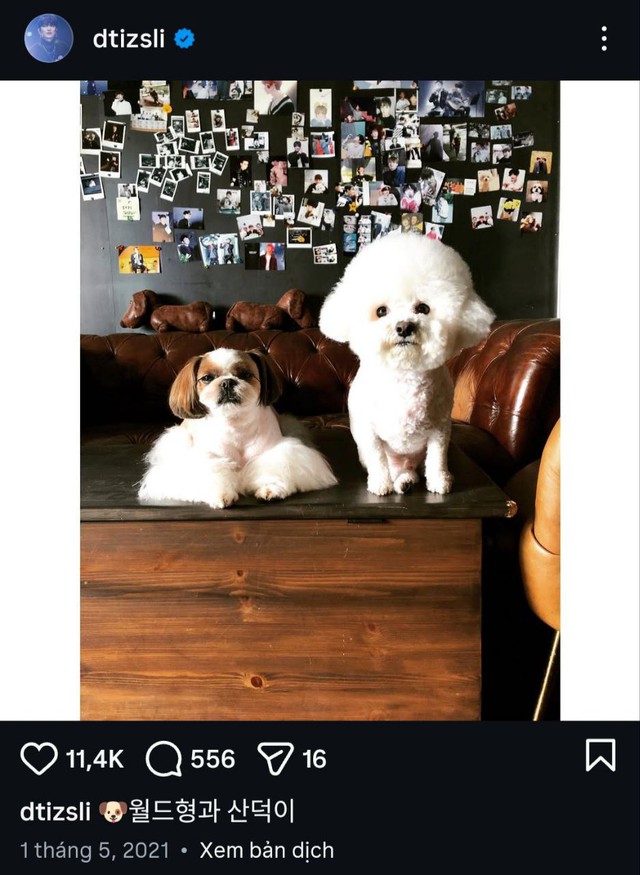 Nam ca sĩ huyền thoại "bốc hơi" khỏi showbiz 5 năm, biệt tăm biệt tích đến người thân cũng không biết ở đâu- Ảnh 2. Nam ca sĩ huyền thoại "bốc hơi" khỏi showbiz 5 năm, biệt tăm biệt tích đến người thân cũng không biết ở đâu- Ảnh 2.