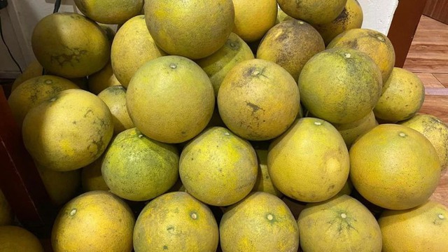 Loại quả hot nhất Tết để 2 tháng không mốc, không hỏng, càng lâu càng ngon ngọt- Ảnh 1.