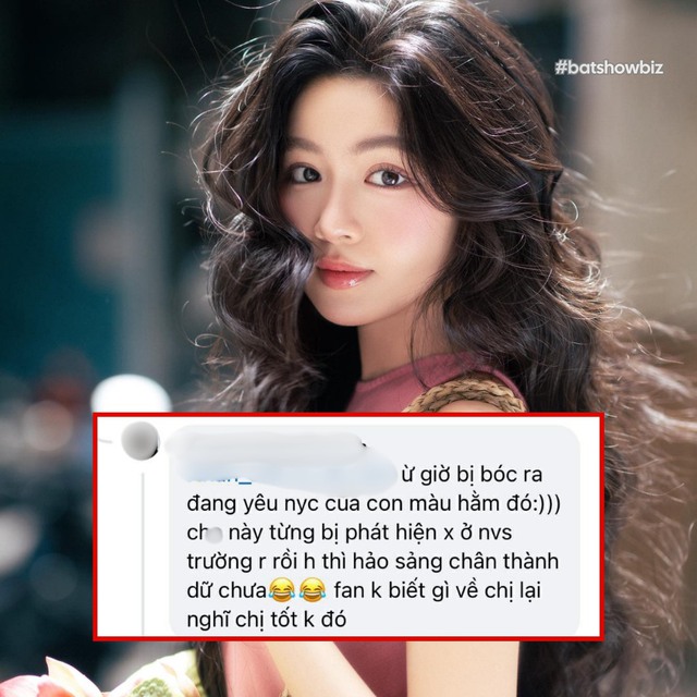 Tin đồn về Lọ Lem và phản ứng gắt của dư luận - Ảnh 1.